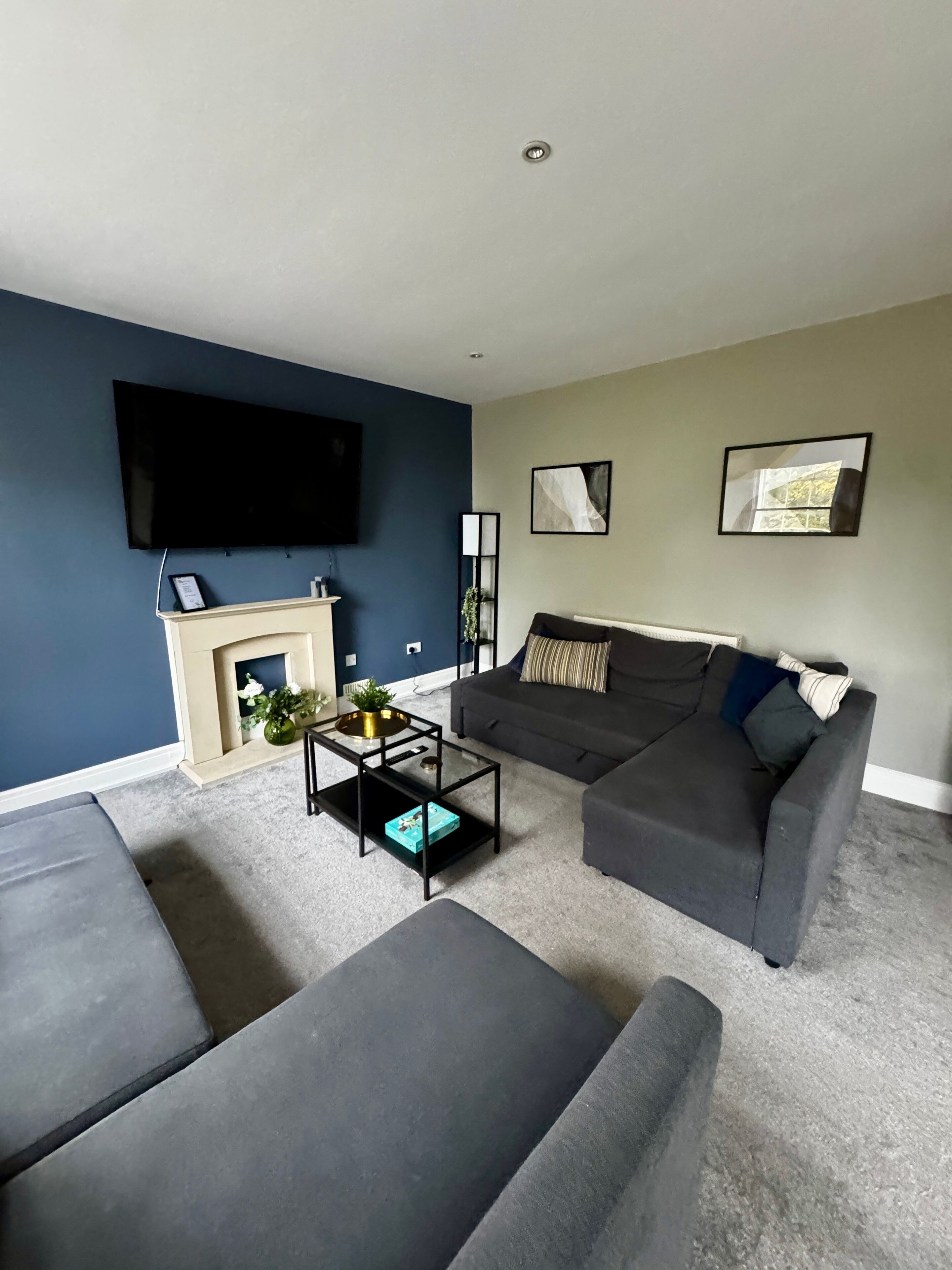 TV, fireplace, books