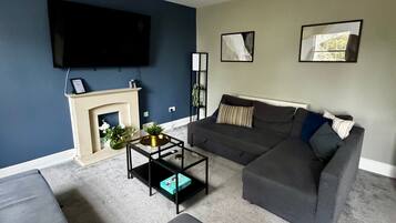 TV, fireplace, books