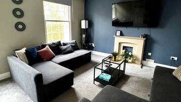 TV, fireplace, books