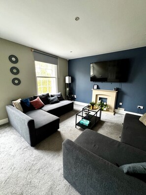 Televisión, chimenea, libros