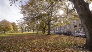 En park med træer, græs og parkerede biler.