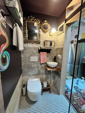 Douche, sèche-cheveux, serviettes fournies, savon
