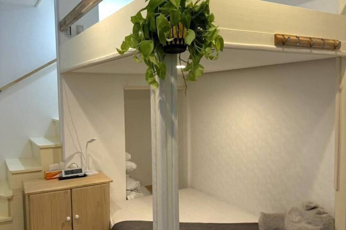 A room with a bunk bed, a bedside table with a lamp, and a hanging plant.