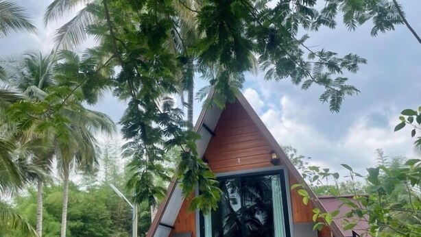 Un edificio moderno con techo triangular, rodeado de abundante vegetación.
