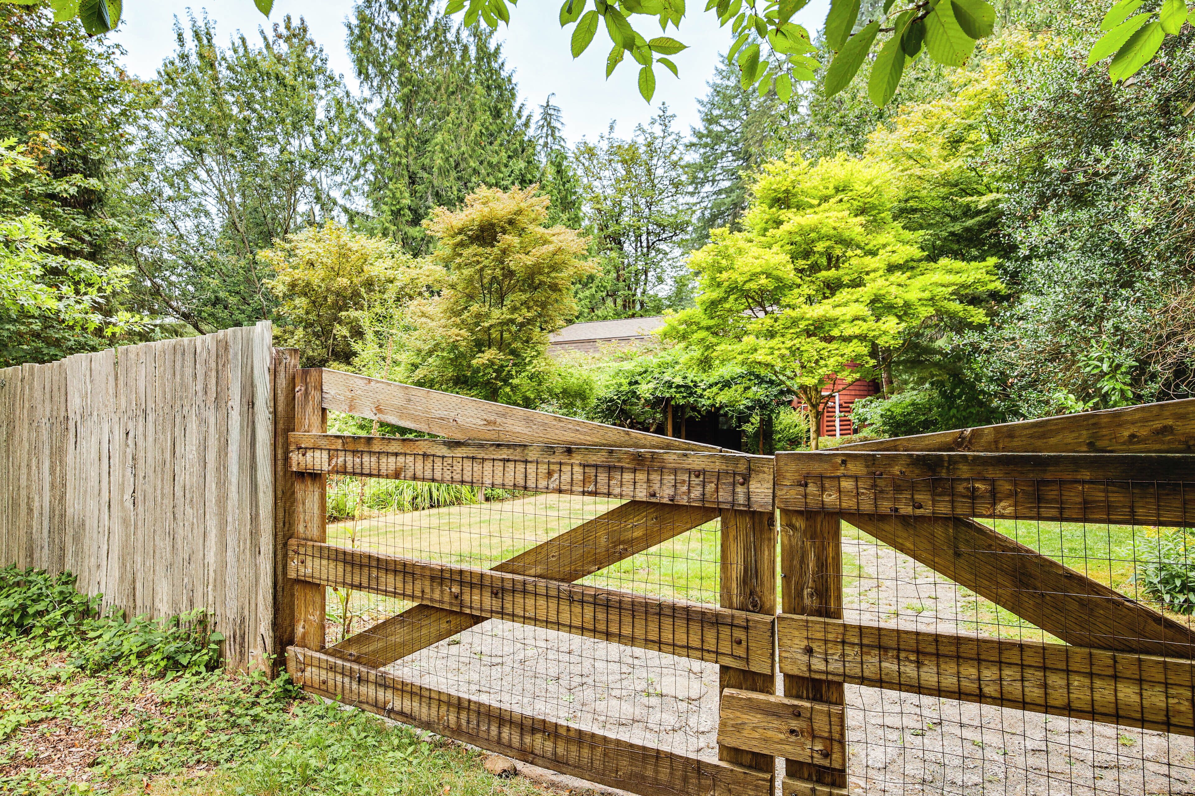 Une porte en bois munie d’une grille métallique, entourée d’une végétation luxuriante et d’arbres.