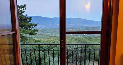 Villa Rosanna - hills and woods close to Florence