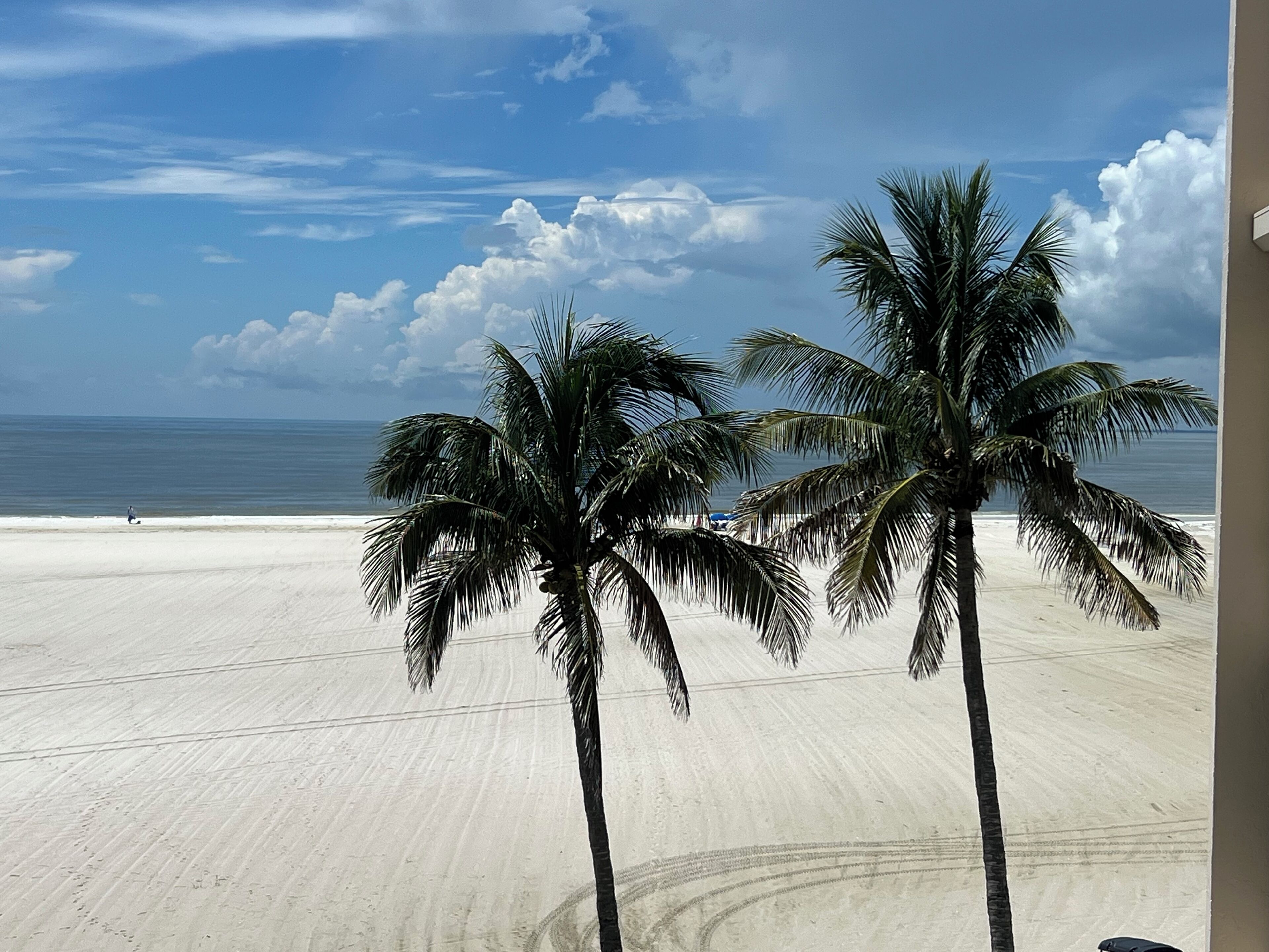 Plage, chaises longues, serviettes de plage