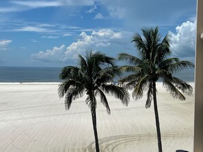 A beach with palm trees and a view of the ocean.