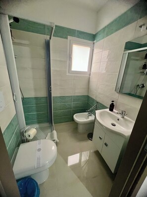 Shower, hair dryer, bidet, towels