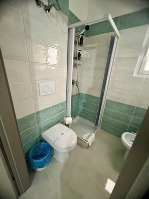 Shower, hair dryer, bidet, towels