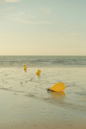 Beach nearby - T2 Nid Serein, near town center, port, beach (Courseulles-sur-Mer)