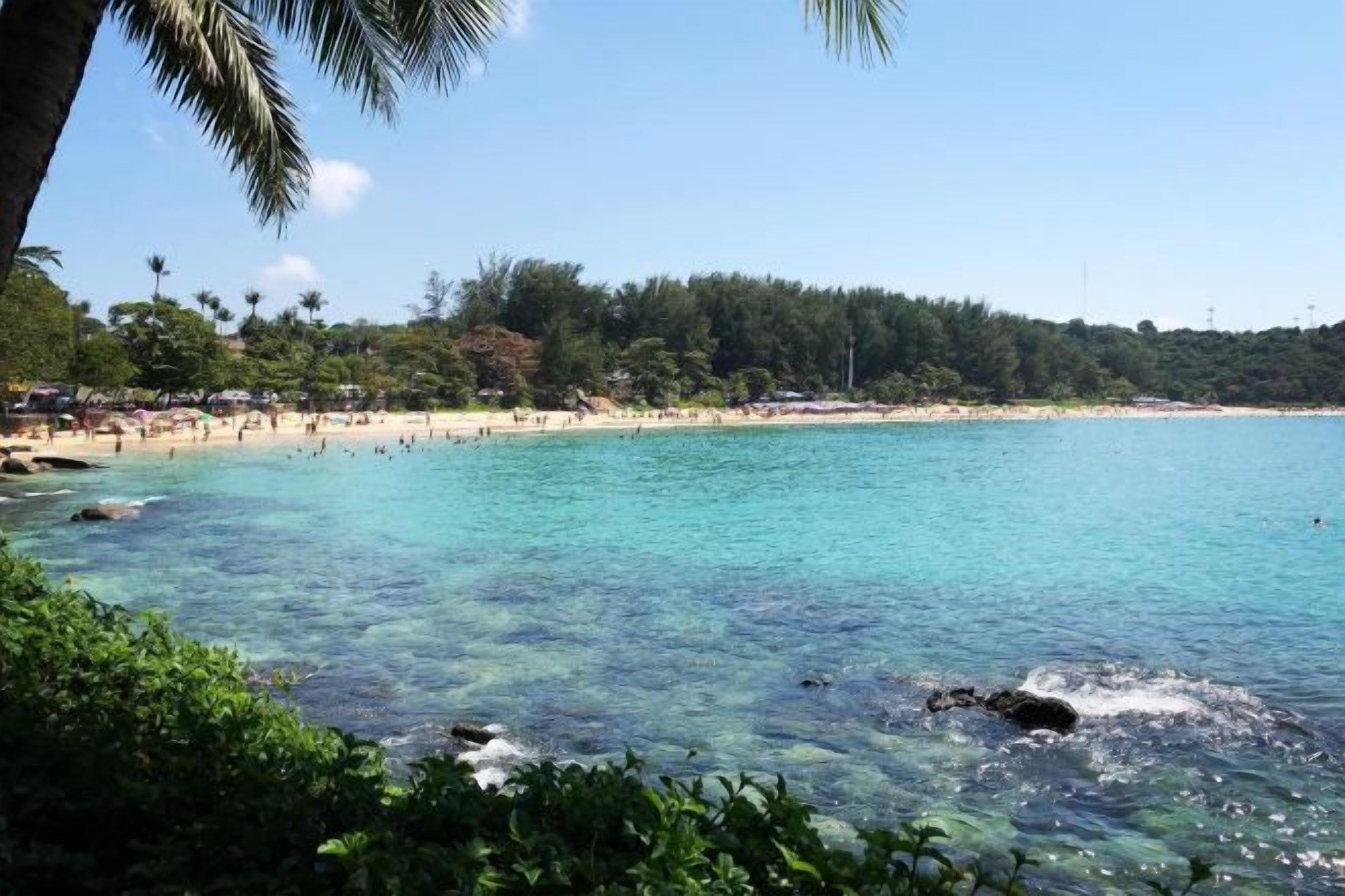Uma praia com águas turquesa cristalinas, palmeiras e uma área arborizada ao fundo.