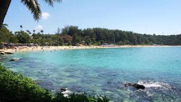 Uma praia com águas turquesa cristalinas, palmeiras e uma área arborizada ao fundo.