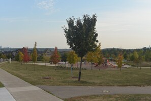 Children's area - Great Toronto House near Wonderland Separate entrance whole Floor Private Suite (Vaughan)