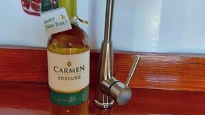 A bottle of Carmen Insigne wine next to a stainless steel kitchen sink with a modern faucet. - Unique Container Home with Open Air Bathroom (Gros Islet)