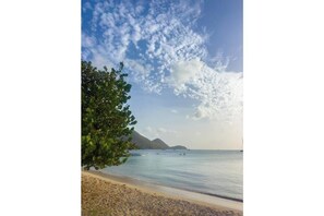 Beach - Irie Heights Reggae Studio (Gros Islet)