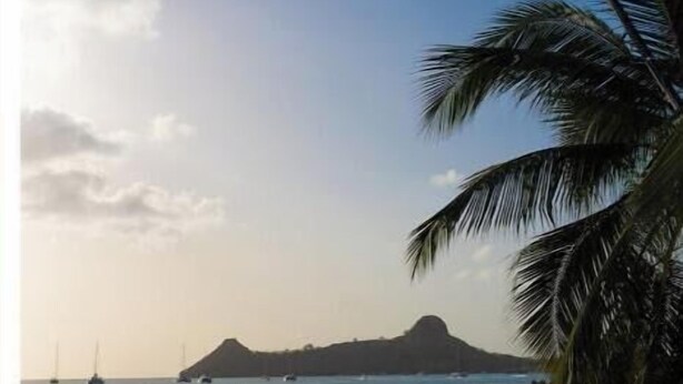 A beach with a palm tree, calm water, and a distant island. - Irie Heights Reggae Studio (Gros Islet)