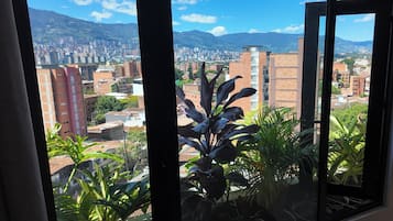 A view through a window with a cityscape, including buildings and mountains in the distance.