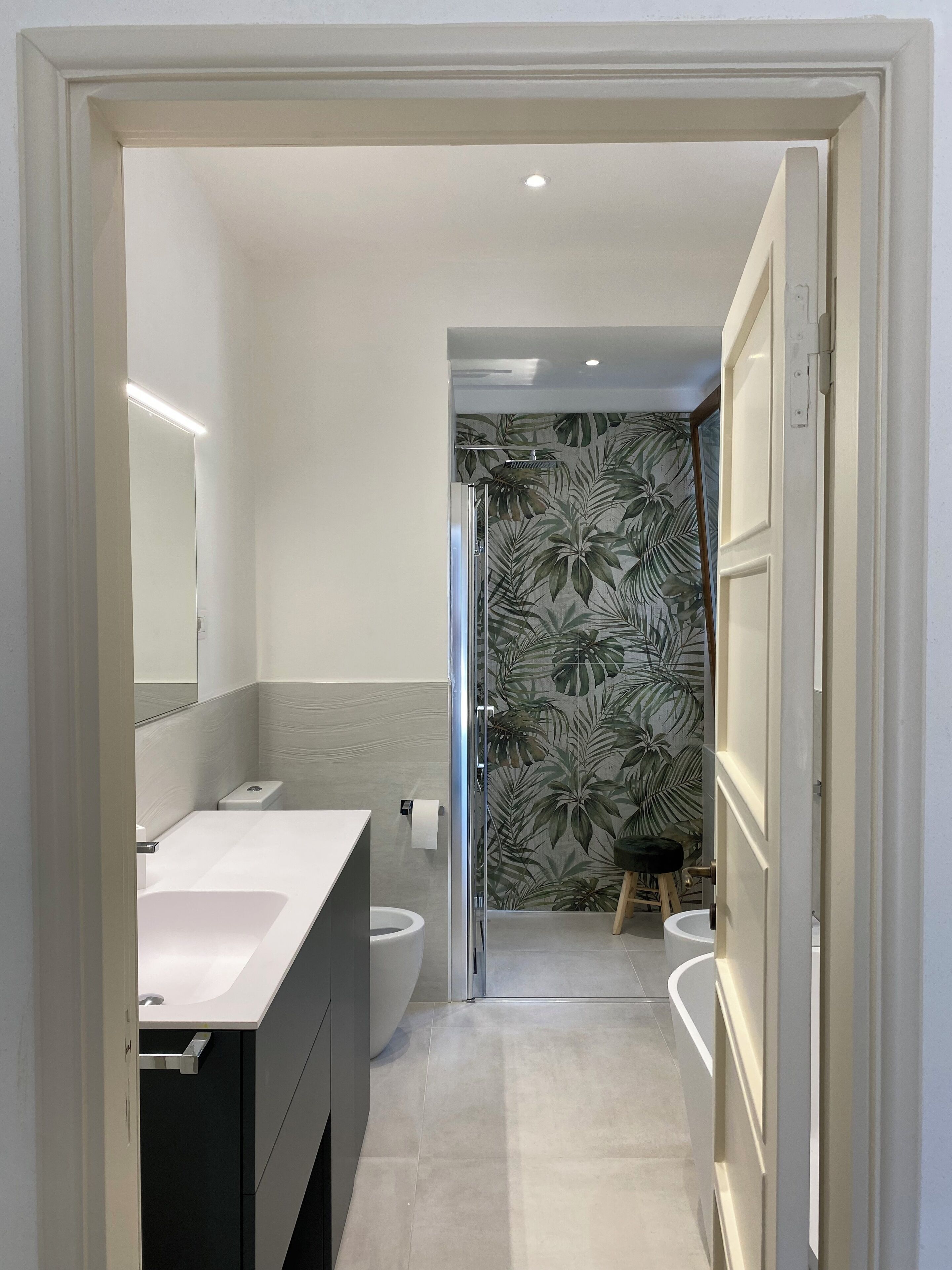 Shower, hair dryer, bidet, towels