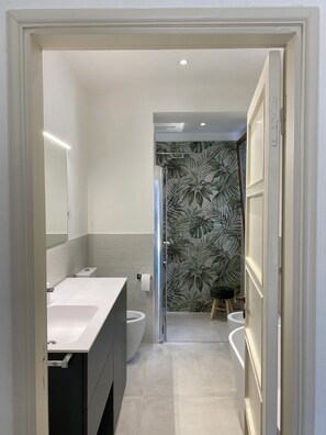 Shower, hair dryer, bidet, towels