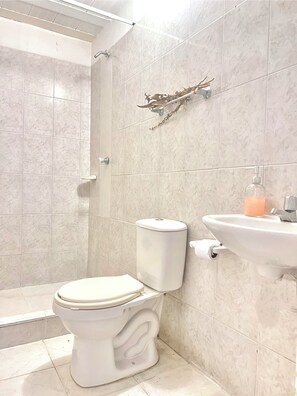 Regadera, toallas, jabón, papel de baño 