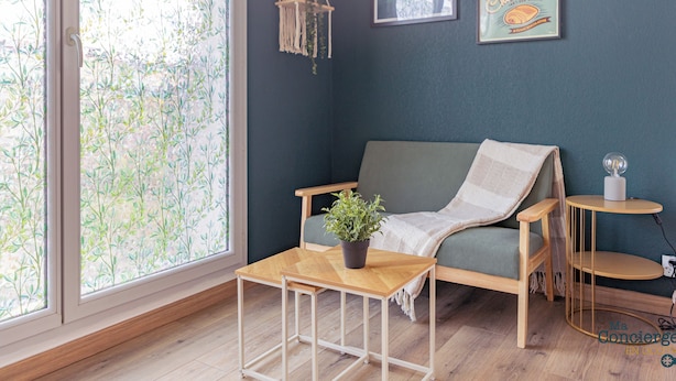 Una habitación acogedora con un sofá, una pequeña mesa de madera con una planta y una pared decorada con carteles de viajes.