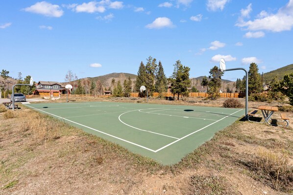 An outdoor basketball court with a green surface, surrounded by trees and houses, under a clear sky. - Lc108fd1 (Dillon)