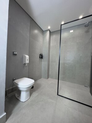 Ducha, secador de pelo, toallas, jabón