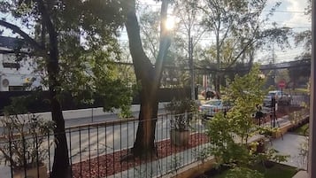 Vistas al jardín