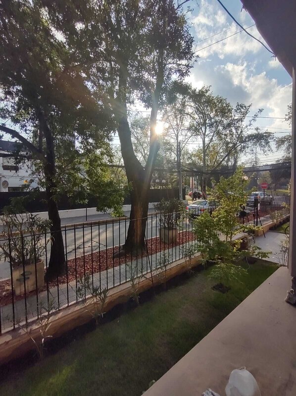 Garden view