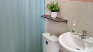 Shower, towels, soap, toilet paper