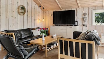 Fernseher, Stereoanlage