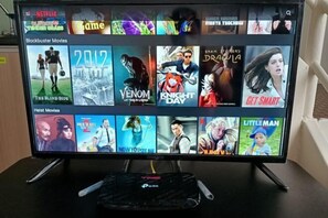 Television