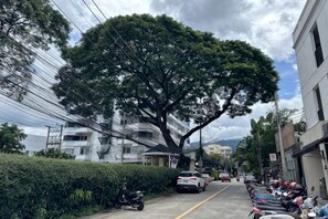 Una calle bordeada de autos estacionados y un árbol grande.