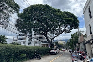 A street with parked cars, a tree, and buildings. - 1B1B Classic & Cozy Room on Nimman15/Hi-Speed WIFI (Chiang Mai)