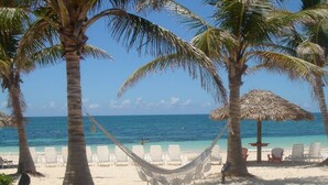 Une plage avec des chaises longues blanches, un hamac et des palmiers.