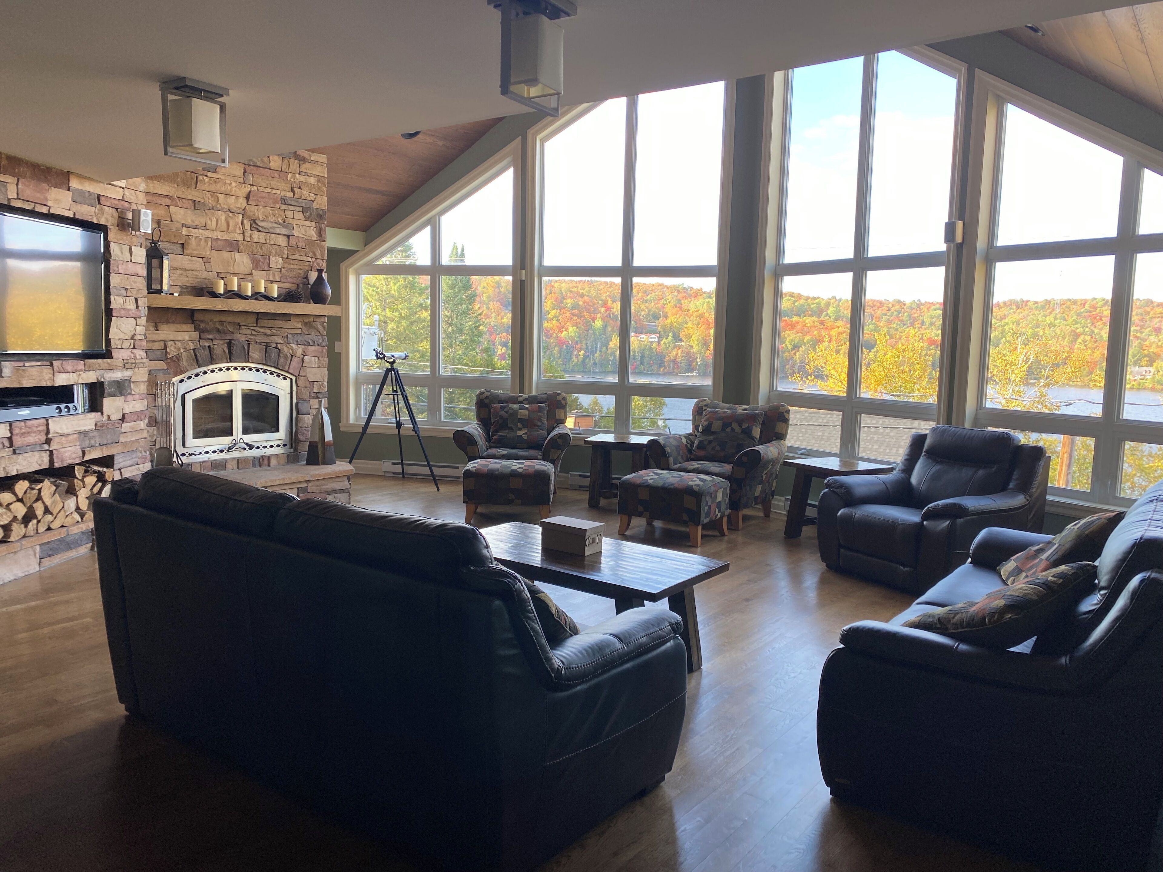 TV, fireplace, DVD player, books