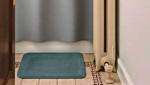 A bathroom with a shower curtain, a radiator, a framed picture on the wall, and a mat on the floor. - Perfectly Located 1BR - Hinman D2 (Evanston)