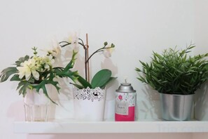 Una repisa con tres plantas en macetas y un bote aerosol.