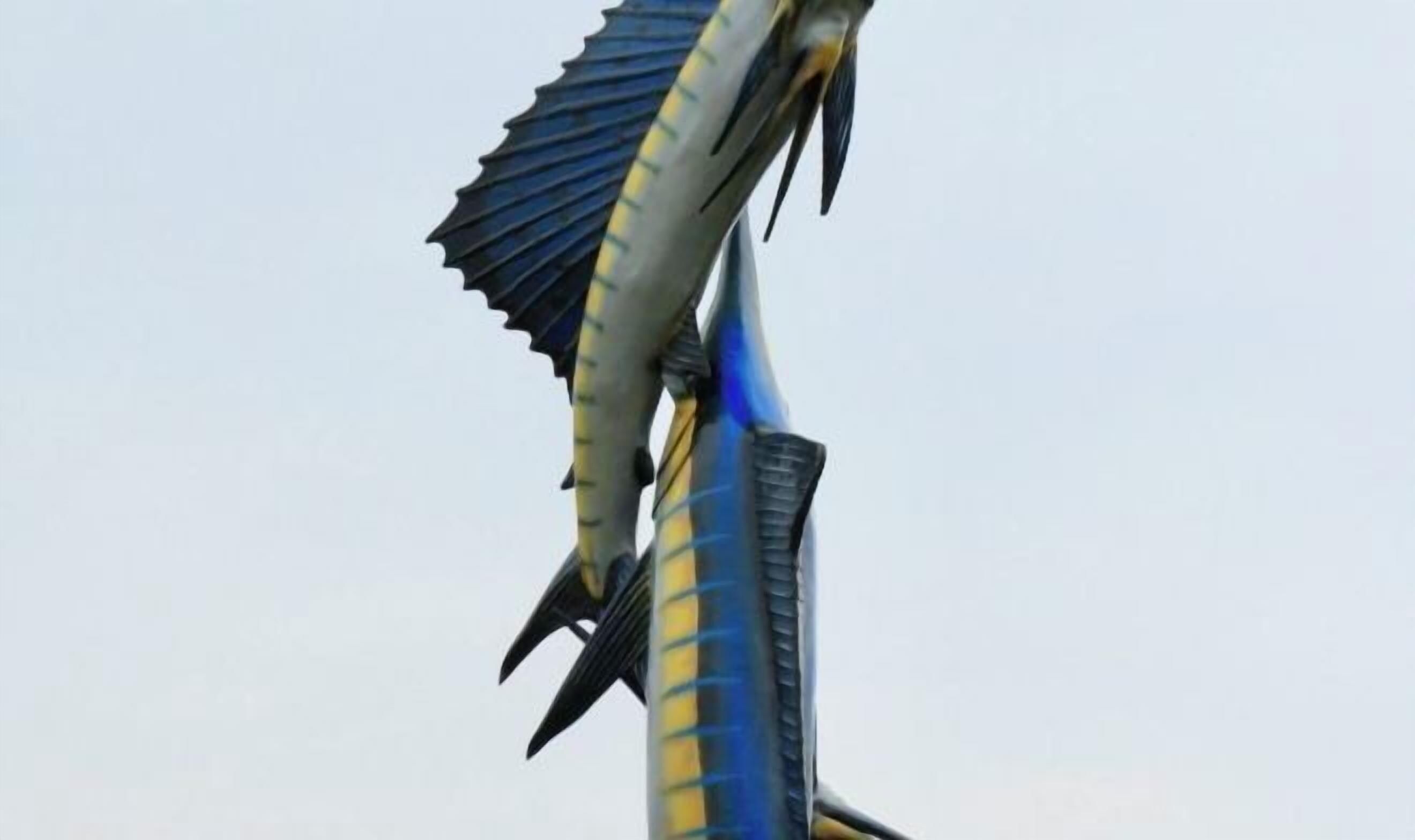 Divers