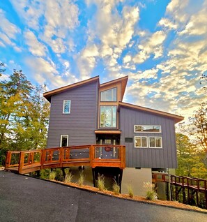 Immagine non classificata, 5 di 15, pulsante