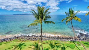 A beach view with palm trees, a rocky shoreline, and lounge chairs.