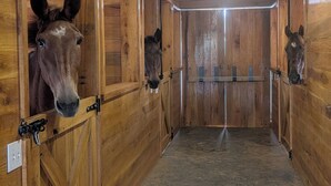 A stable with wooden walls and a concrete floor, featuring two horses peeking through the stable doors.