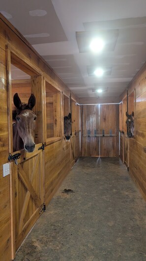 المنشأة من الداخل