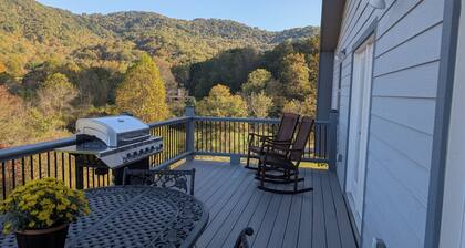 Brand new awesome 2-bedroom Guest House located in charming Waynesville.