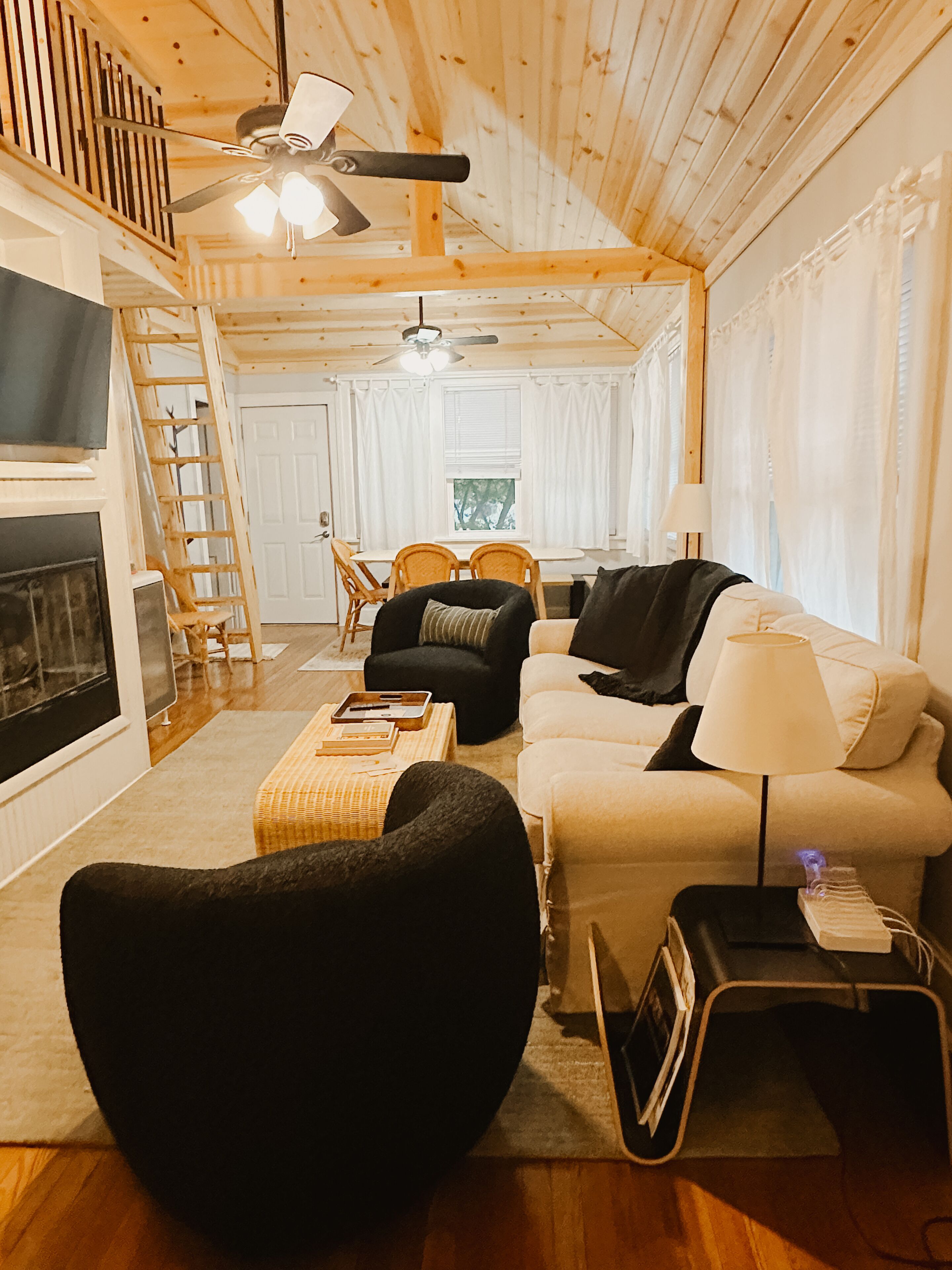 Smart TV, fireplace, books, stereo