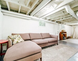 TV connectée, cheminée, livres, chaîne hi-fi