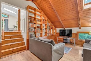 TV, fireplace, books