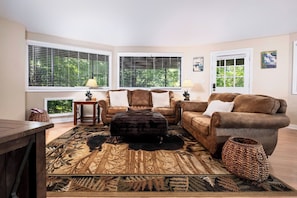 TV, fireplace, DVD player