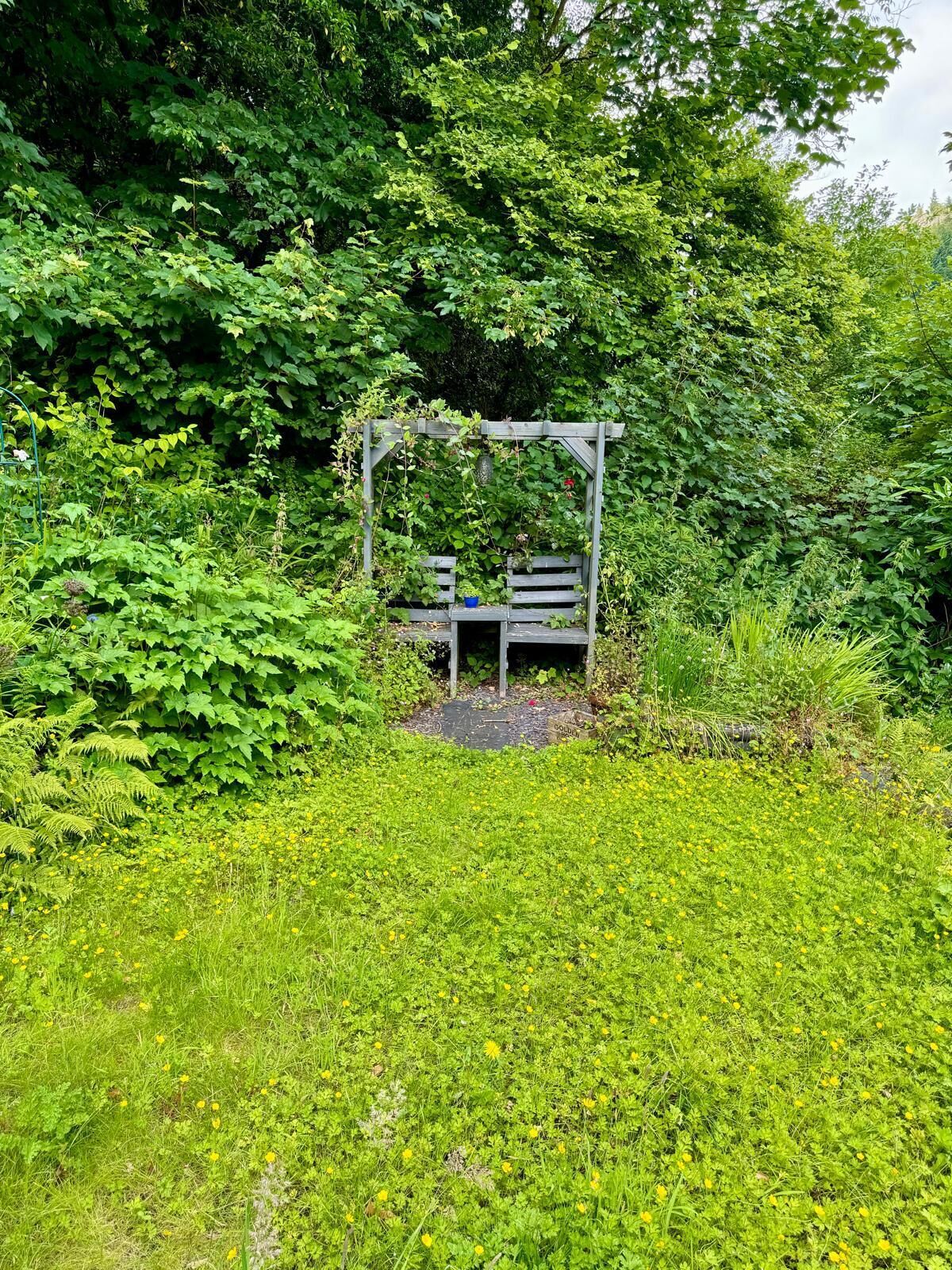 Eine hölzerne Bank unter einer Holzpergola, umgeben von üppigem Grün und gelben Blüten.